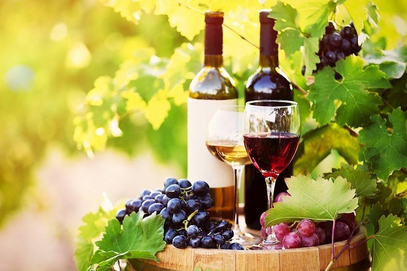 Top Ten Wine Producing Countries in the World