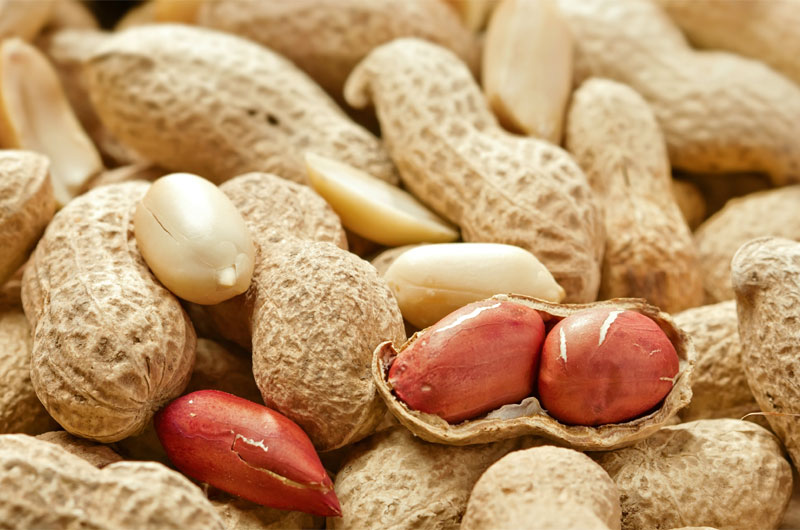Top Ten Peanut Producing Countries in the World